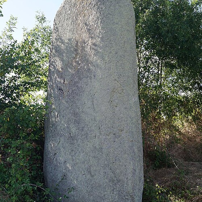 Photo de Menhir de la Chenillée à Saint-Vincent-sur-Graon