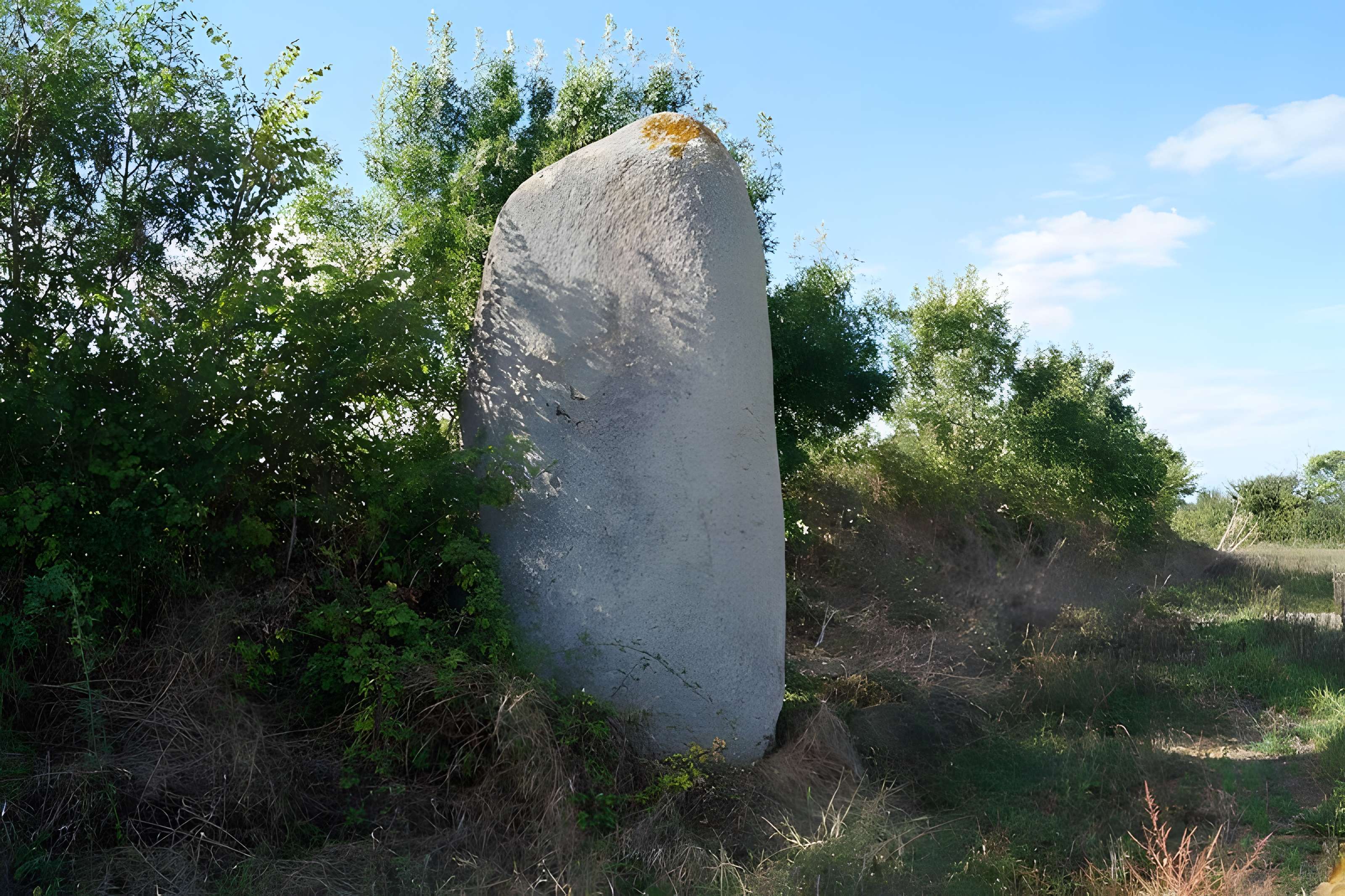 Menhir de la Chenillée à Saint-Vincent-sur-Graon 