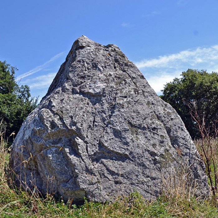 Photo de Menhir de la Crulière à Brem-sur-Mer
