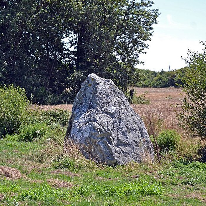 Photo de Menhir de la Crulière à Brem-sur-Mer