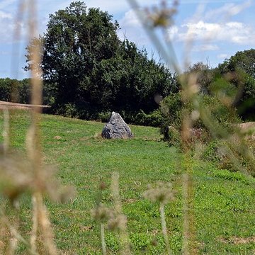 Menhir de la Crulière à Brem-sur-Mer