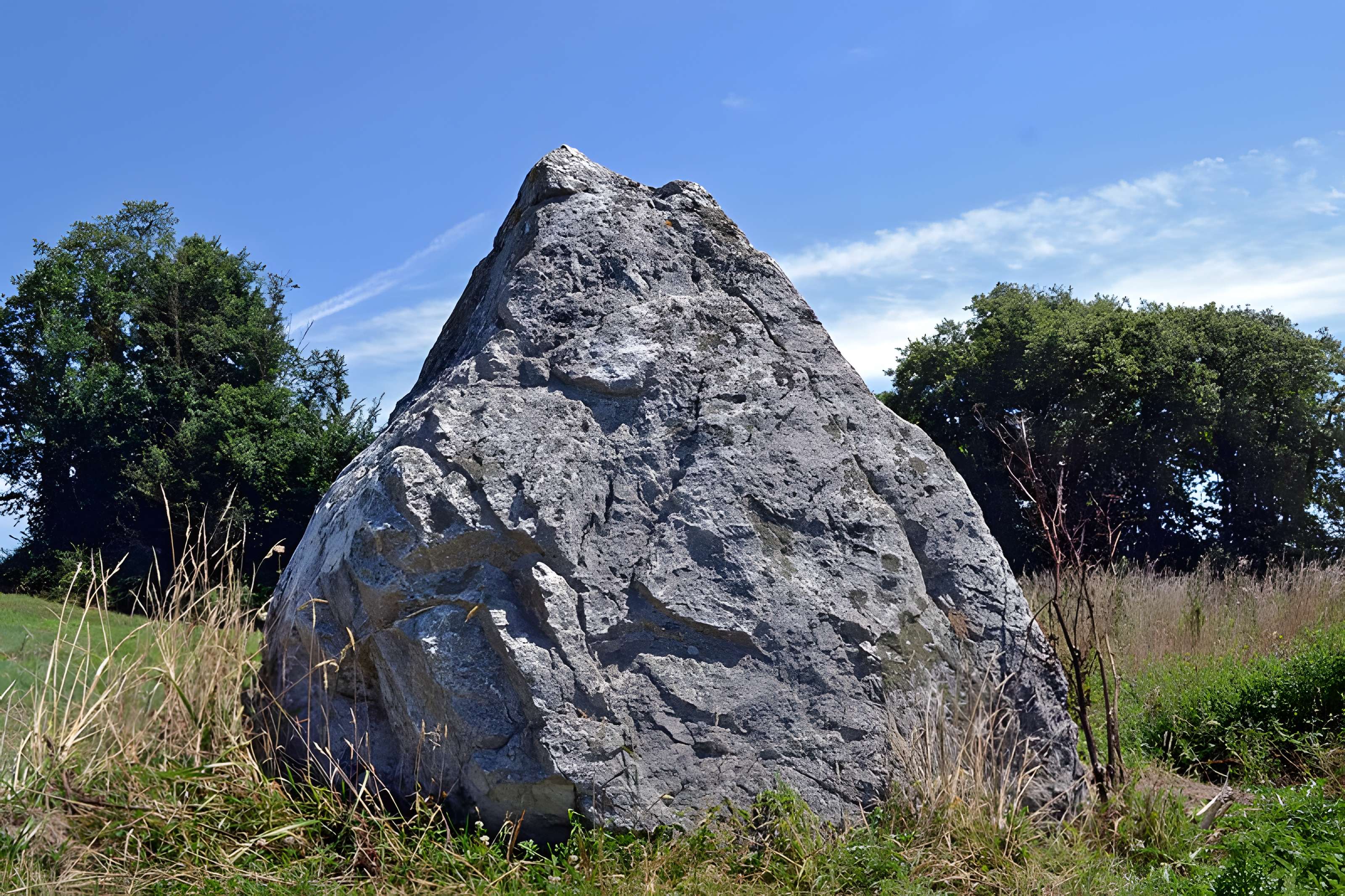 Menhir de la Crulière à Brem-sur-Mer 