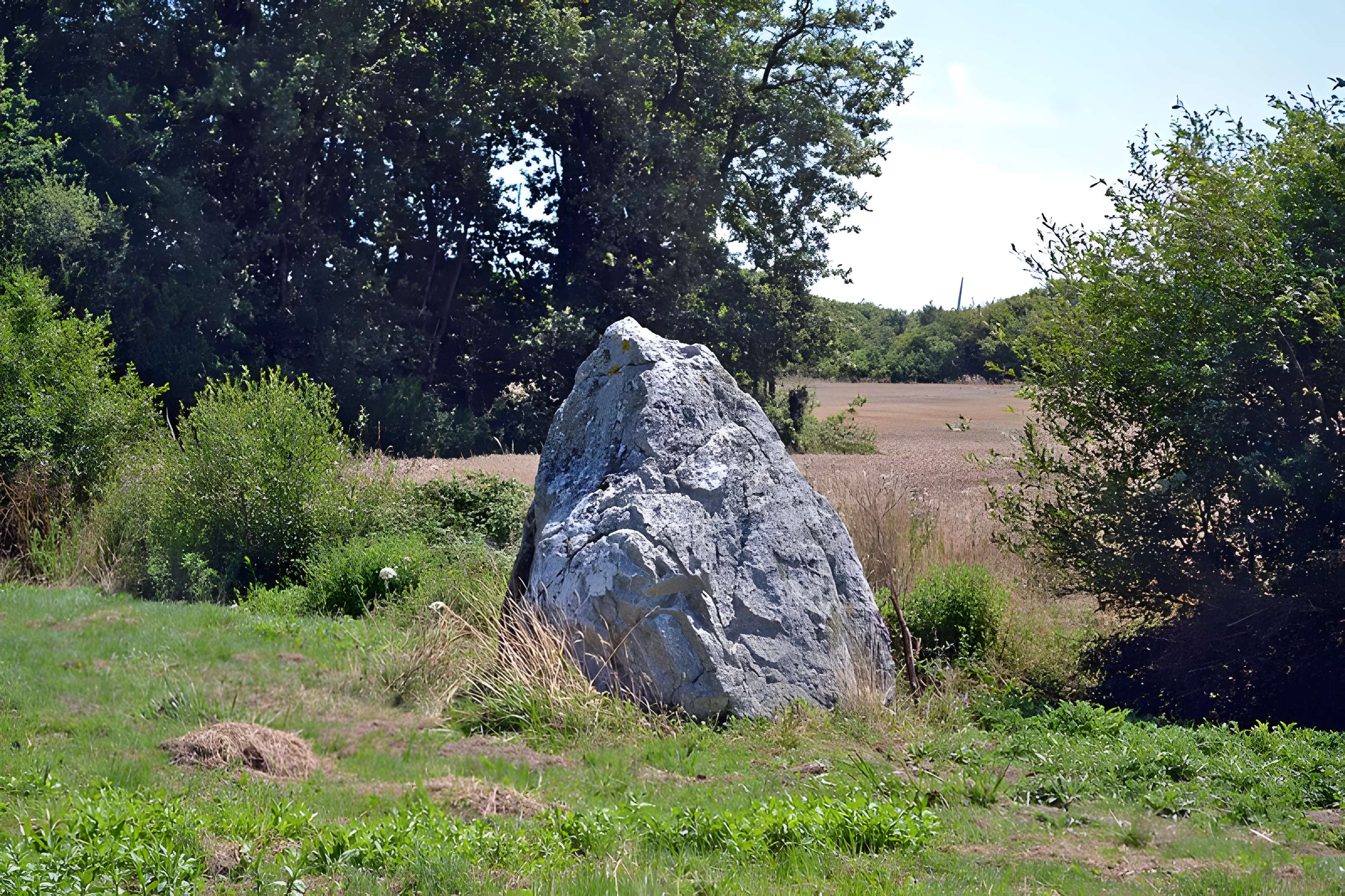 Menhir de la Crulière à Brem-sur-Mer