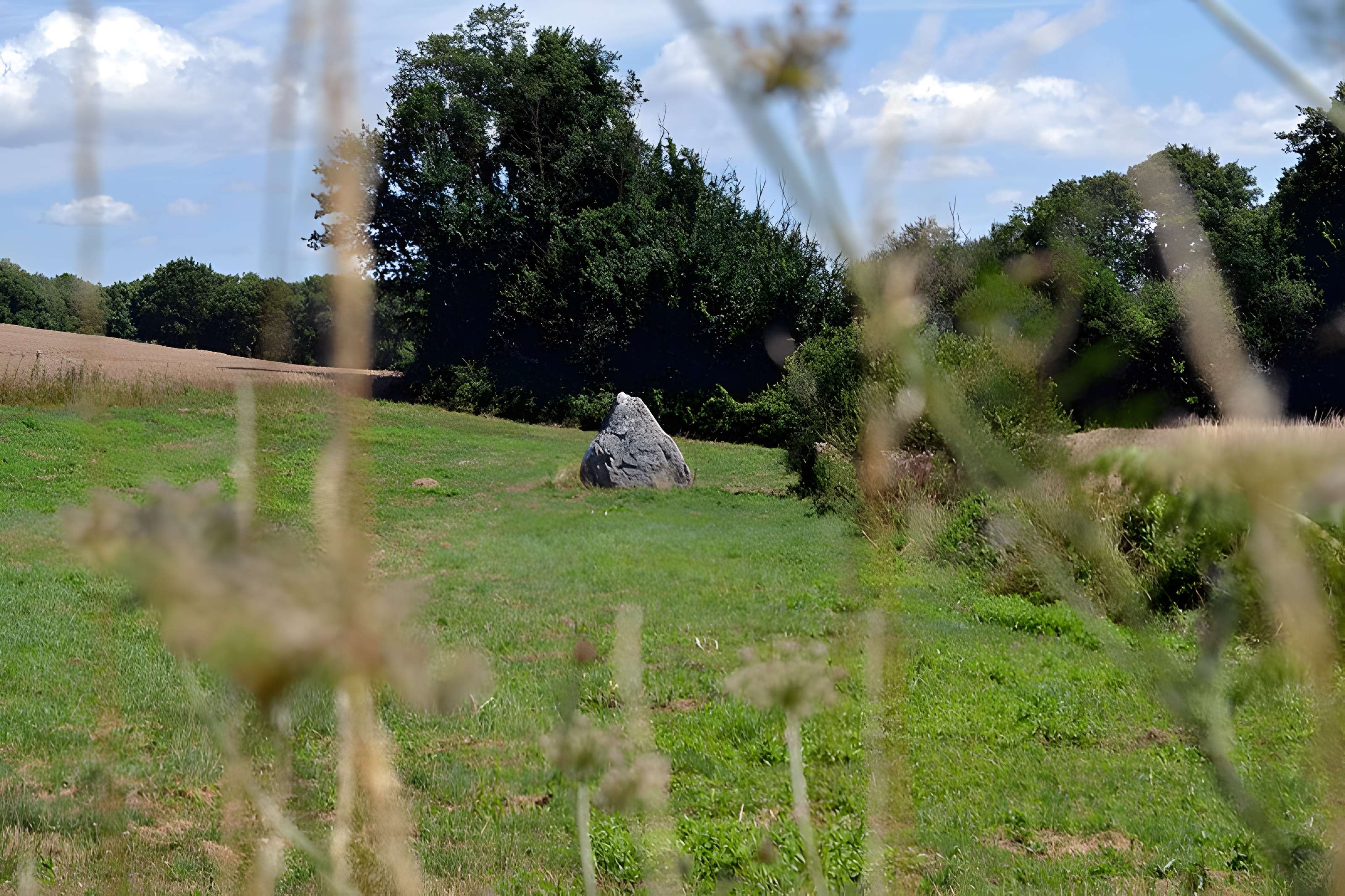 Menhir de la Crulière à Brem-sur-Mer