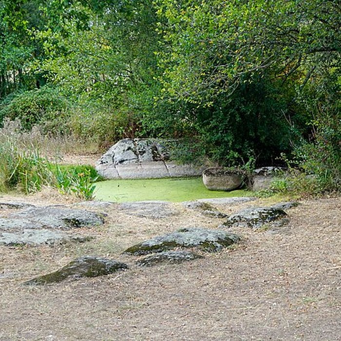 Photo de Menhir de la Fontaine Saint-Gré à Avrillé
