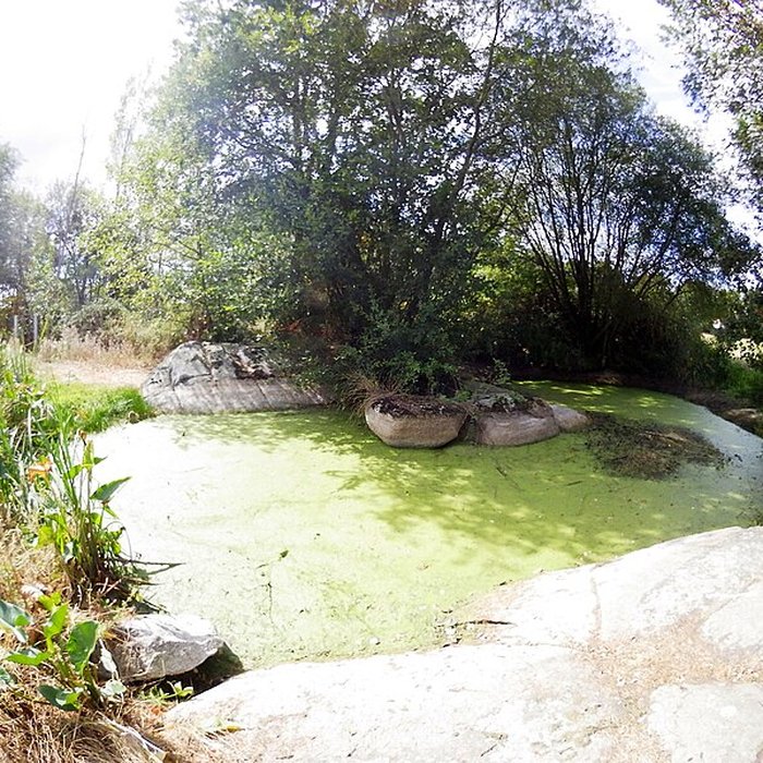 Photo de Menhir de la Fontaine Saint-Gré à Avrillé