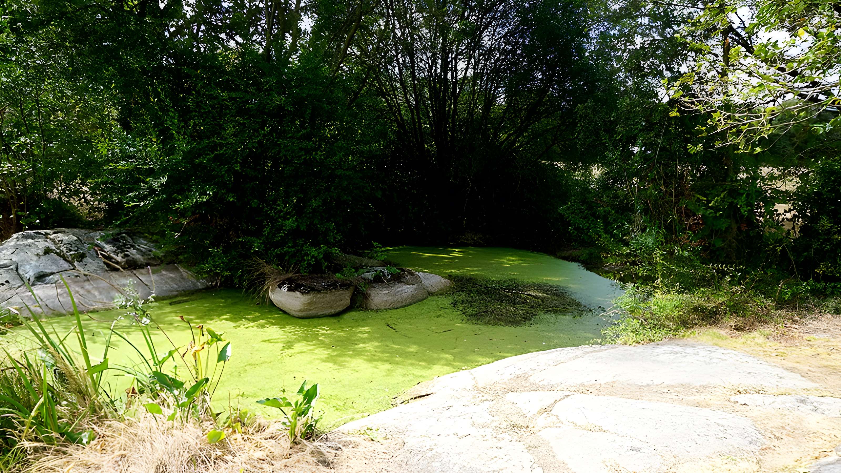 Menhir de la Fontaine Saint-Gré à Avrillé