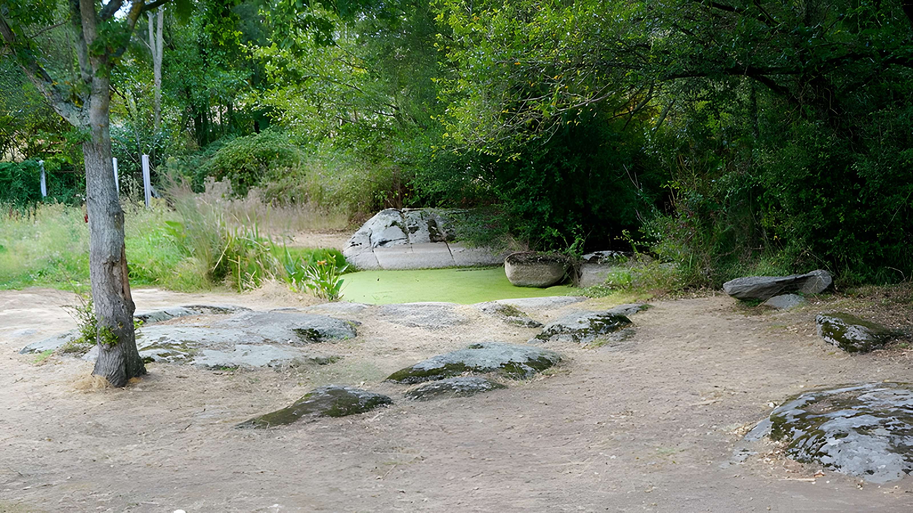Menhir de la Fontaine Saint-Gré à Avrillé