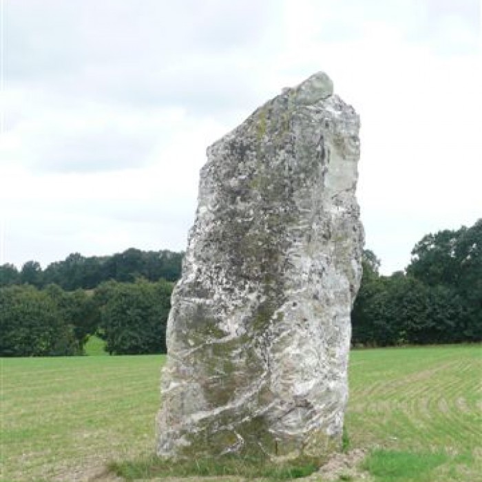 Photo de Menhir de la Haute-Pierre à Champeaux