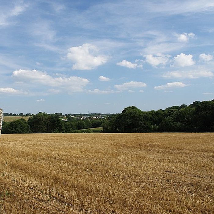 Photo de Menhir de la Haute-Pierre à Champeaux
