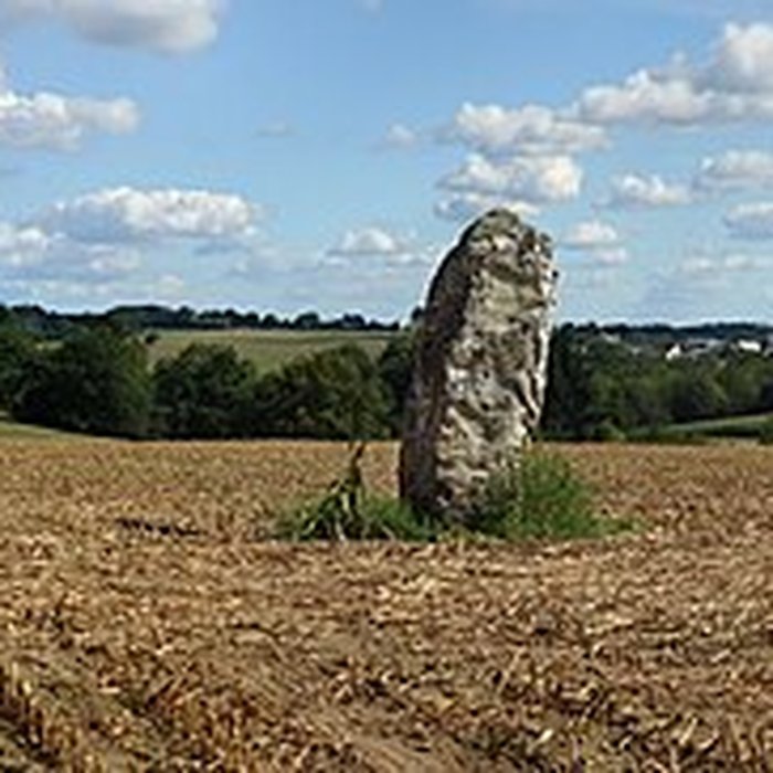 Photo de Menhir de la Haute-Pierre à Champeaux