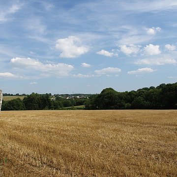 Menhir de la Haute-Pierre à Champeaux