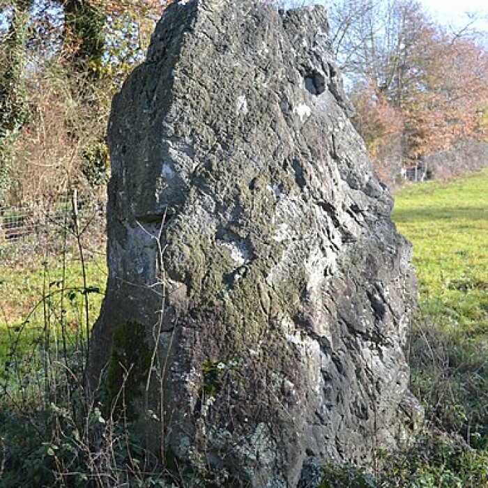 Photo de Menhir de La Limouzinière à Chauché