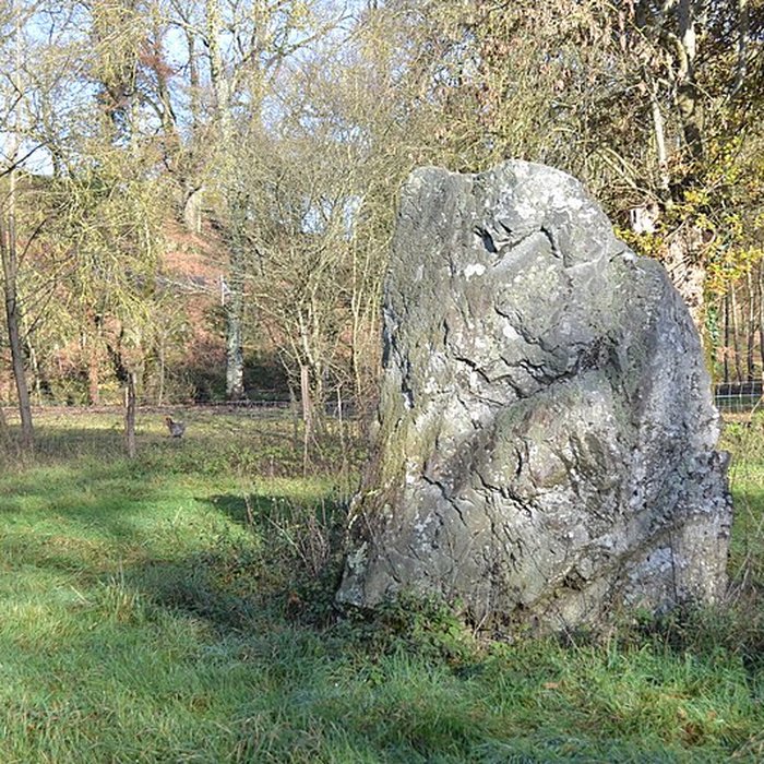 Photo de Menhir de La Limouzinière à Chauché