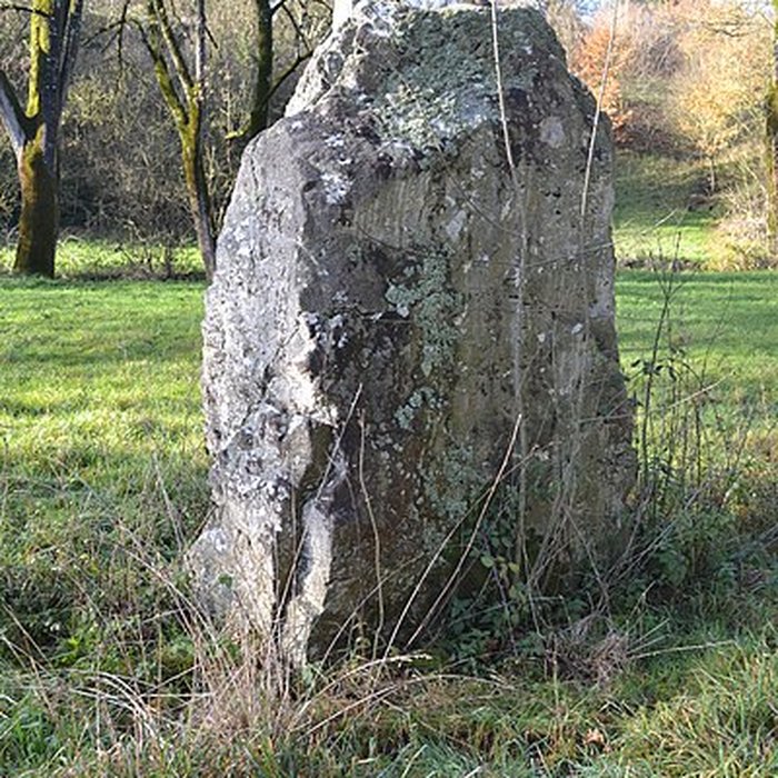 Photo de Menhir de La Limouzinière à Chauché