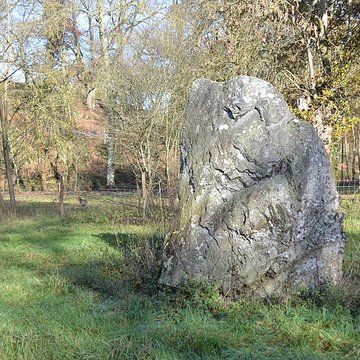 Menhir de La Limouzinière à Chauché