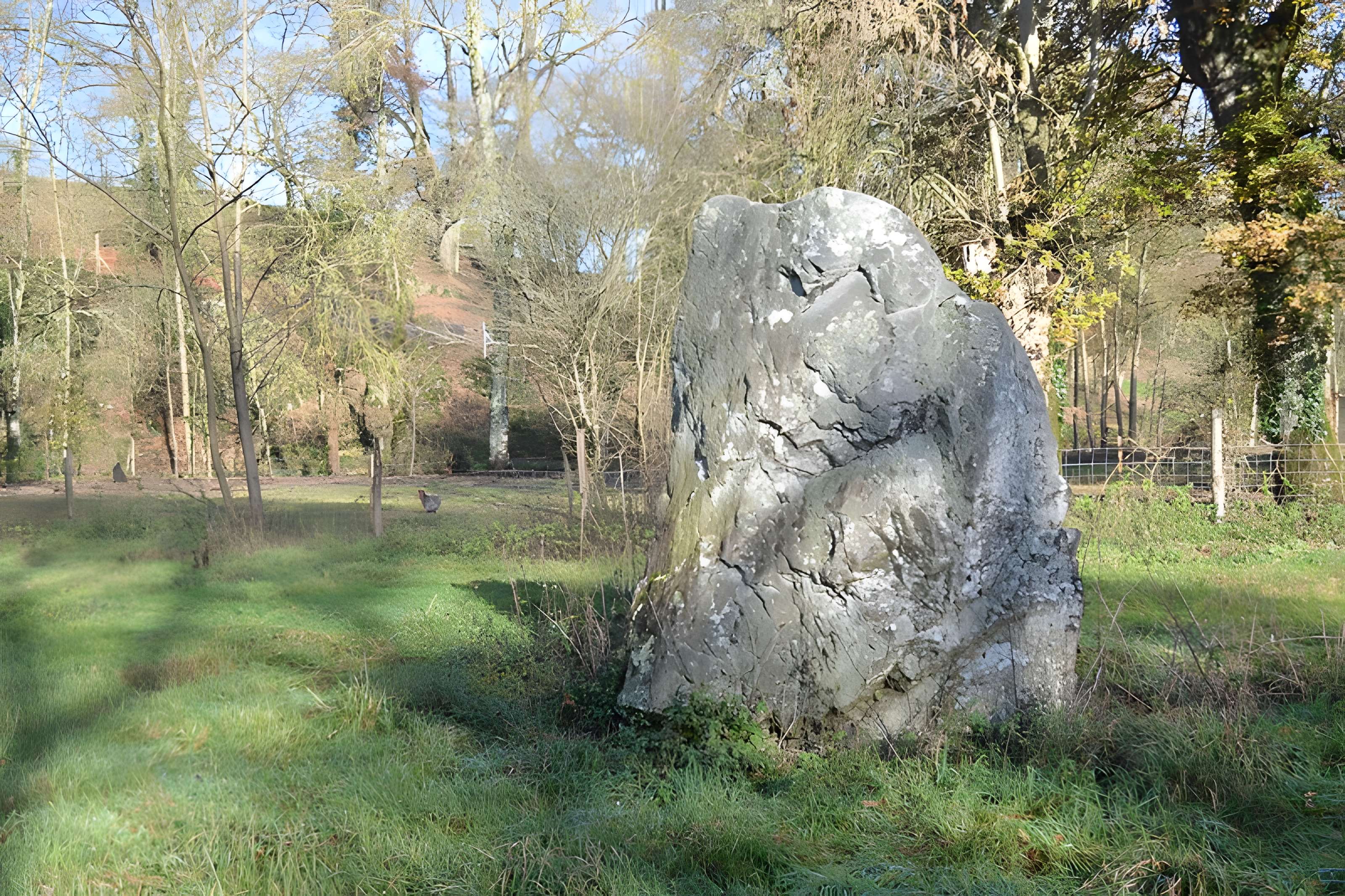 Menhir de La Limouzinière à Chauché