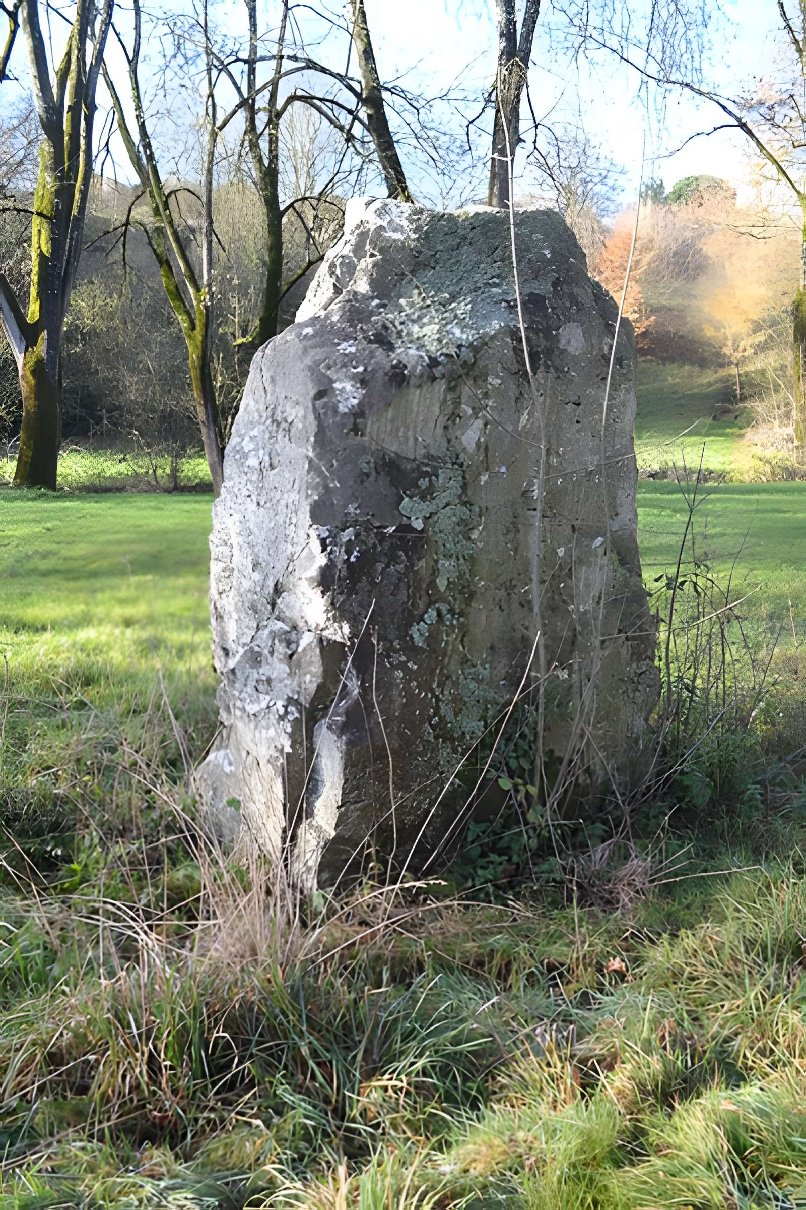 Menhir de La Limouzinière à Chauché