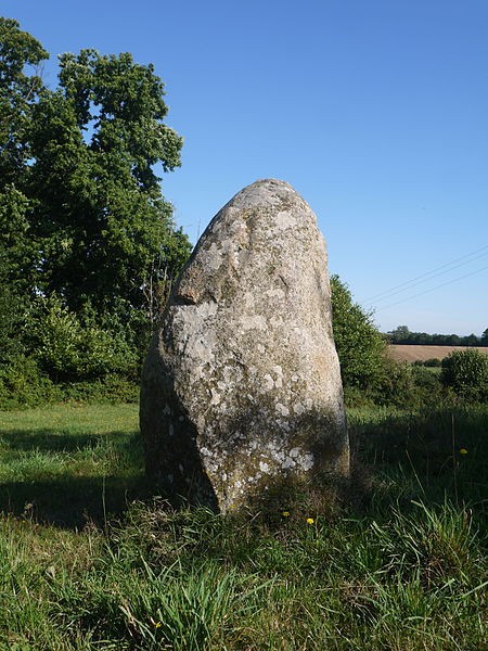Photo de Menhir de la Petite Thébauderie à Saint-Thomas-de-Courceriers