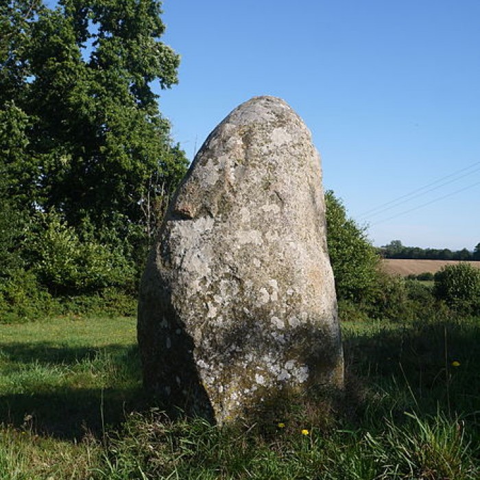 Photo de Menhir de la Petite Thébauderie à Saint-Thomas-de-Courceriers