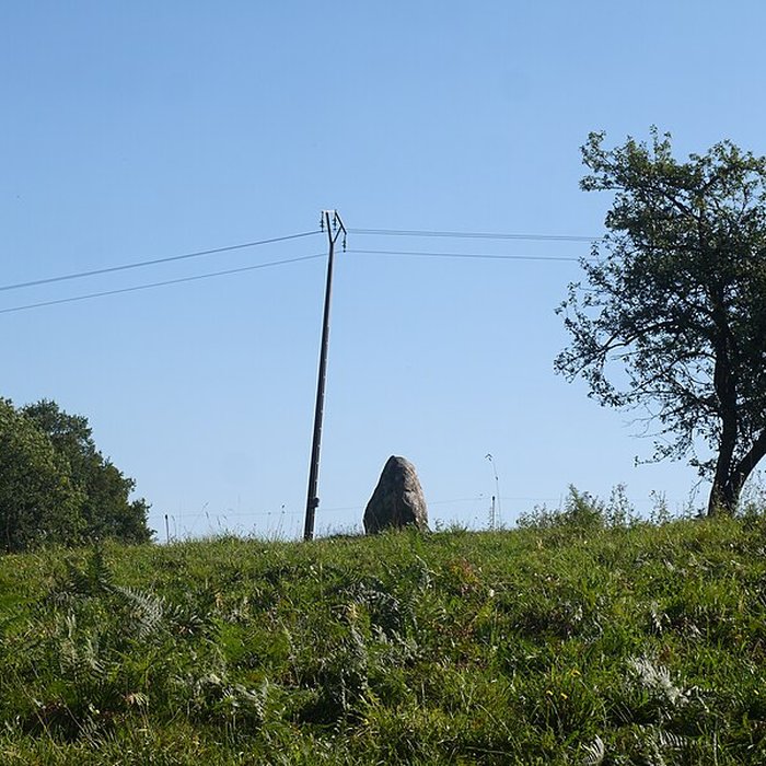 Photo de Menhir de la Petite Thébauderie à Saint-Thomas-de-Courceriers