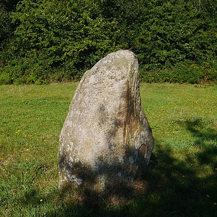 Photo de Menhir de la Petite Thébauderie à Saint-Thomas-de-Courceriers