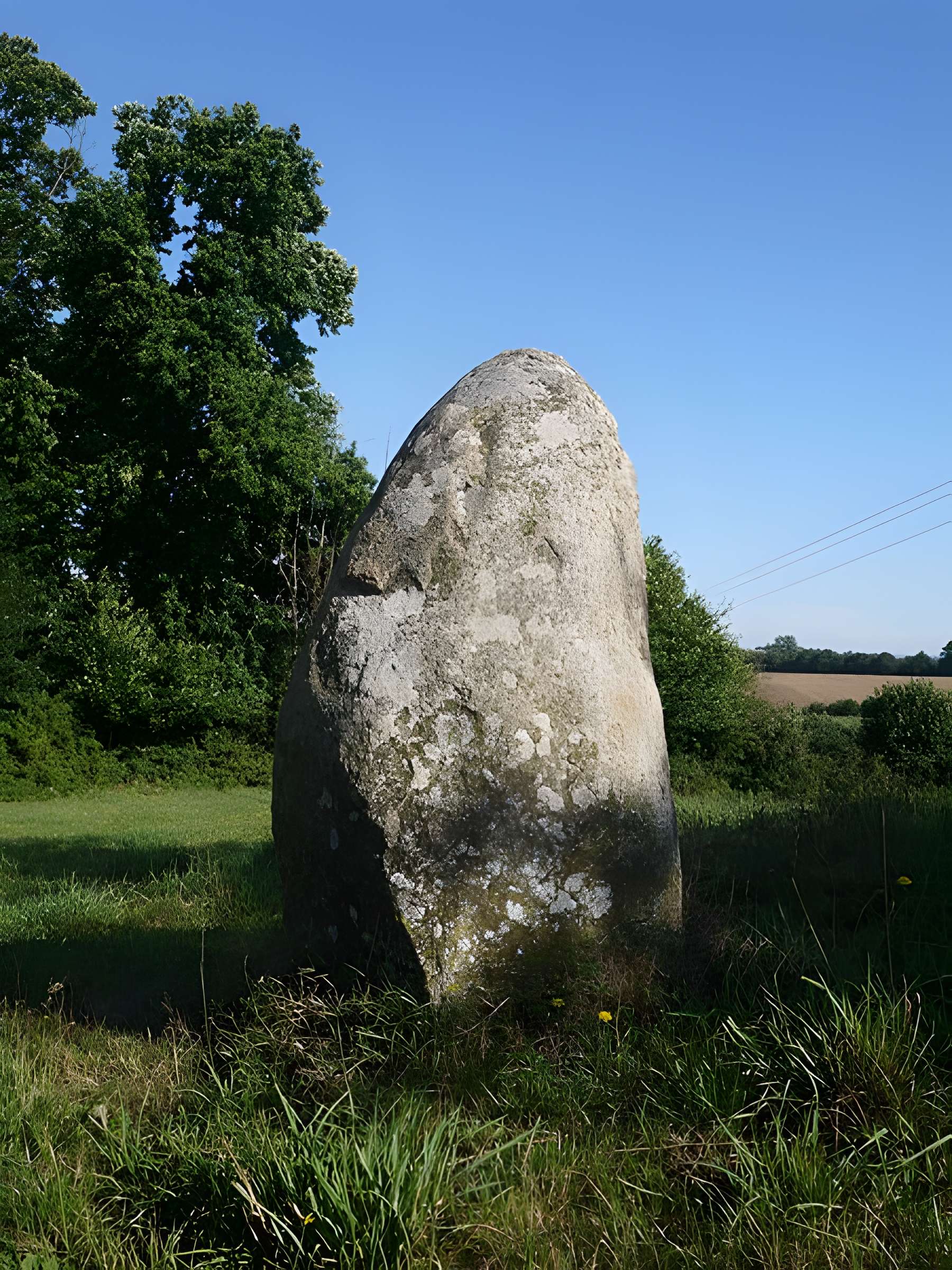Menhir de la Petite Thébauderie à Saint-Thomas-de-Courceriers 