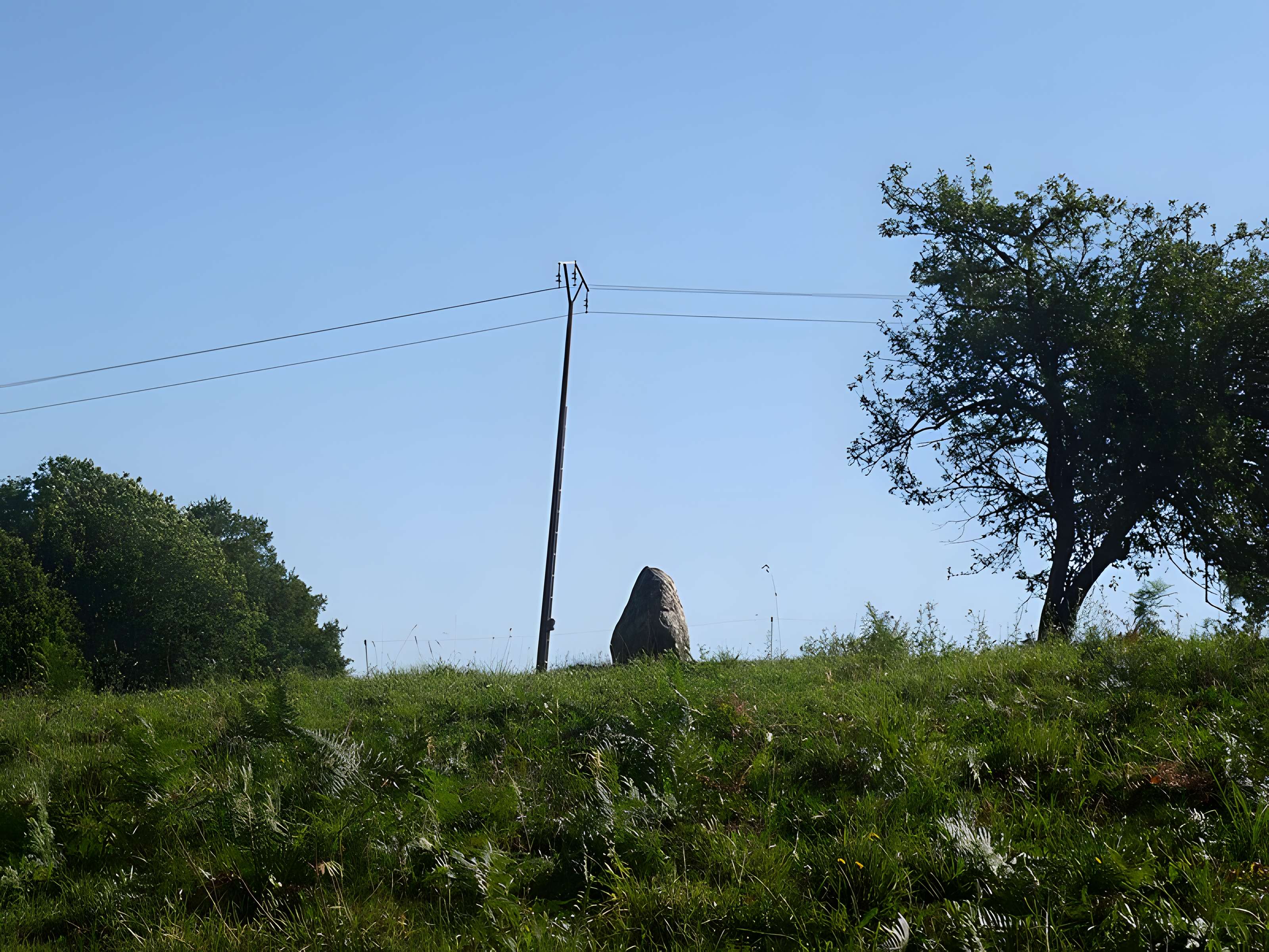 Menhir de la Petite Thébauderie à Saint-Thomas-de-Courceriers