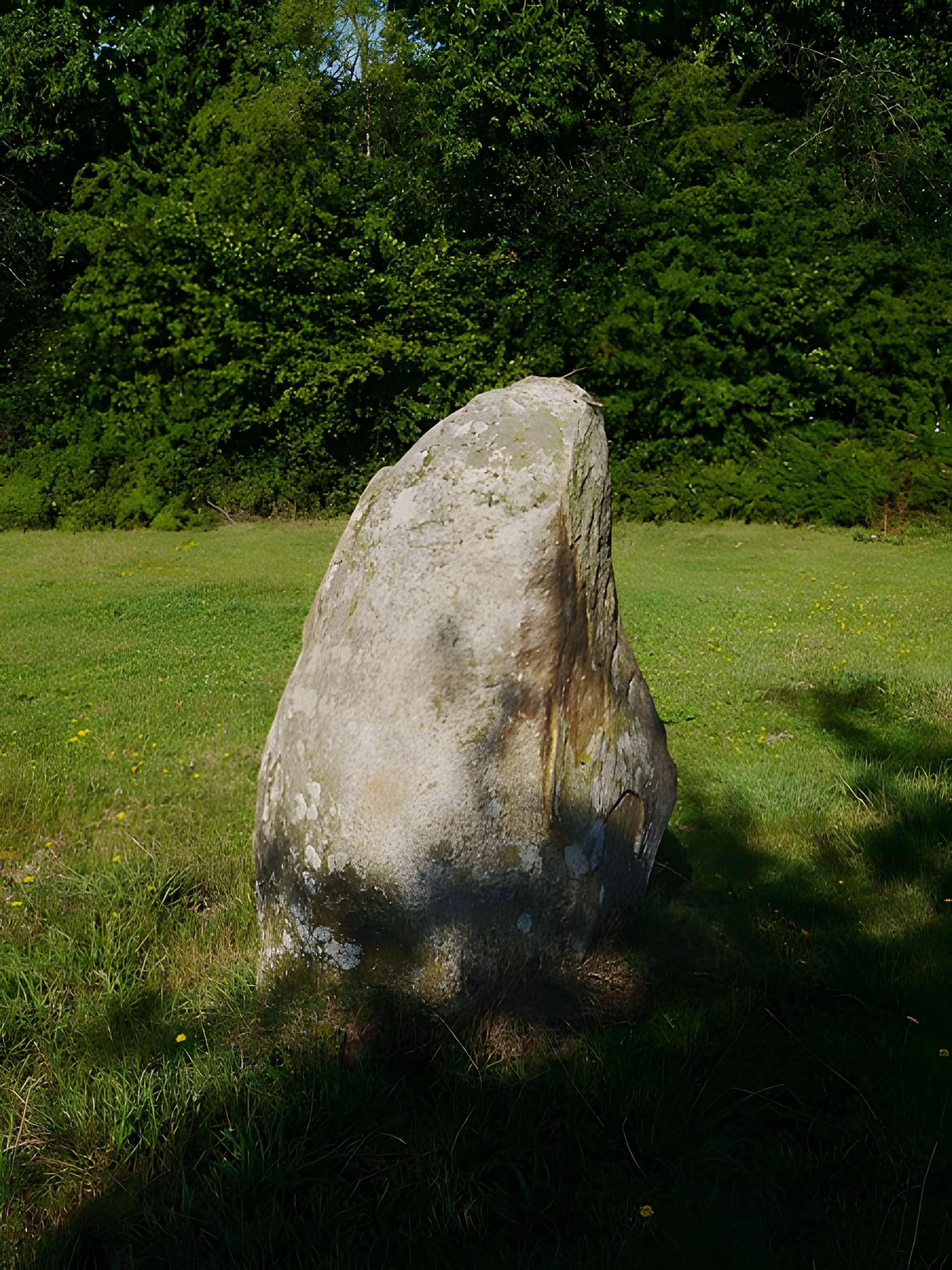 Menhir de la Petite Thébauderie à Saint-Thomas-de-Courceriers