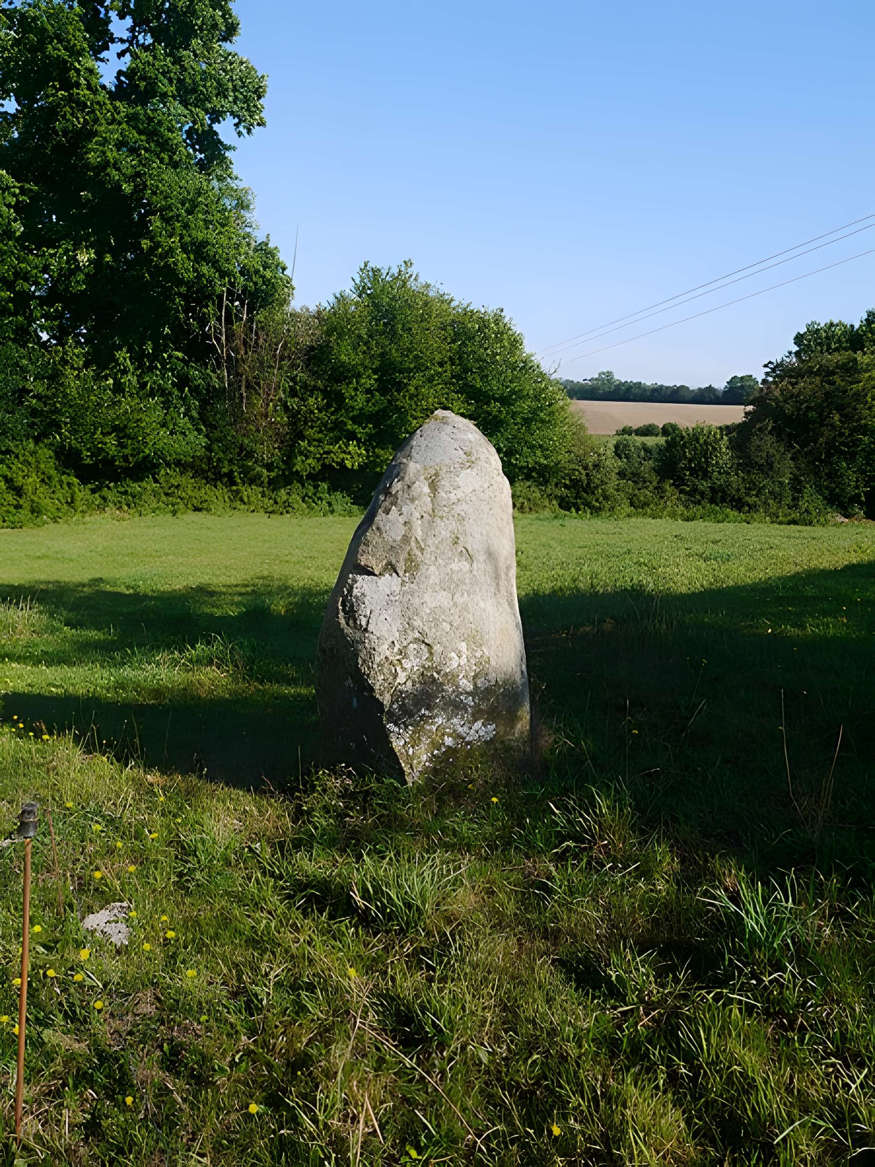Menhir de la Petite Thébauderie à Saint-Thomas-de-Courceriers