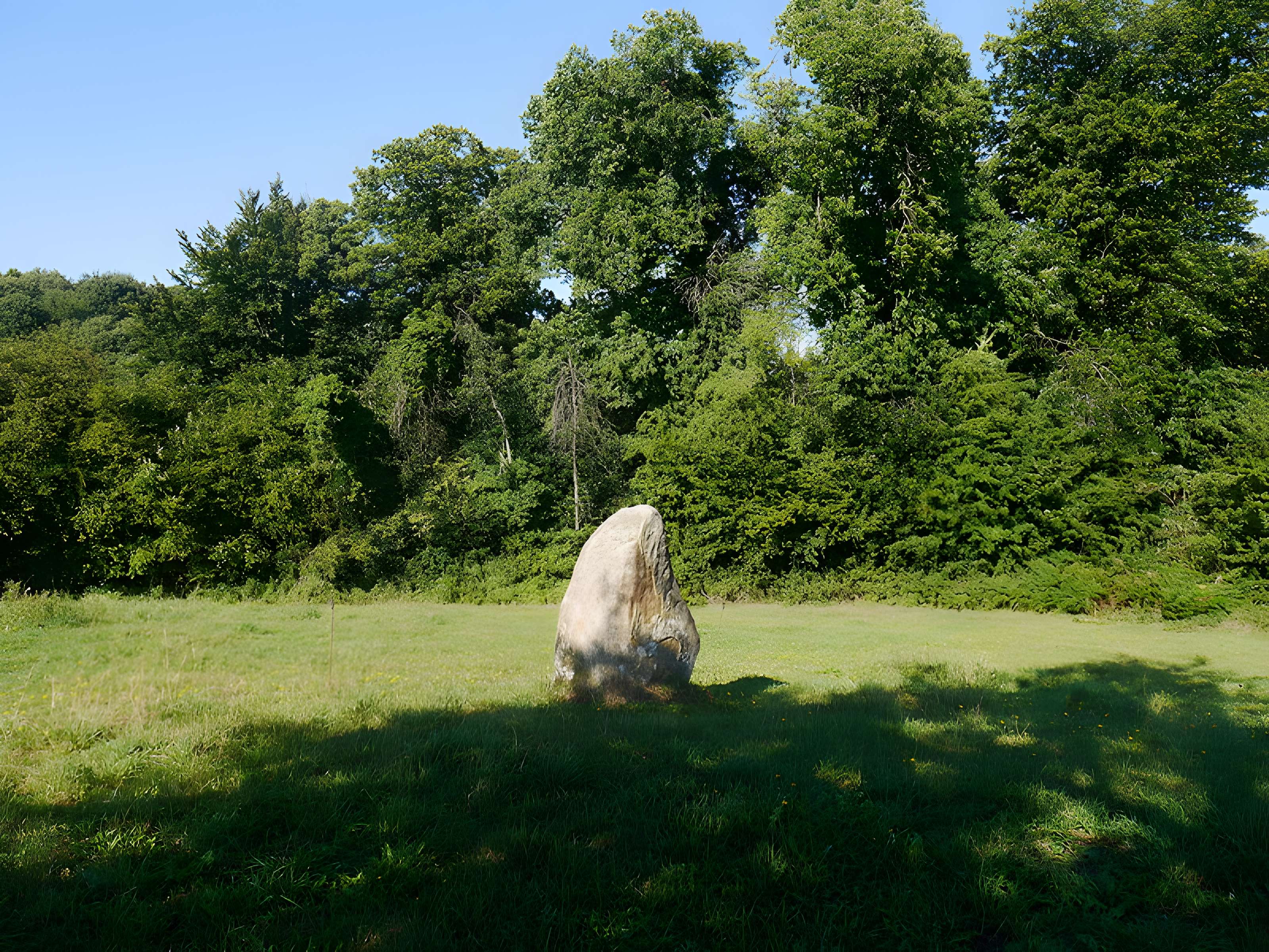 Menhir de la Petite Thébauderie à Saint-Thomas-de-Courceriers