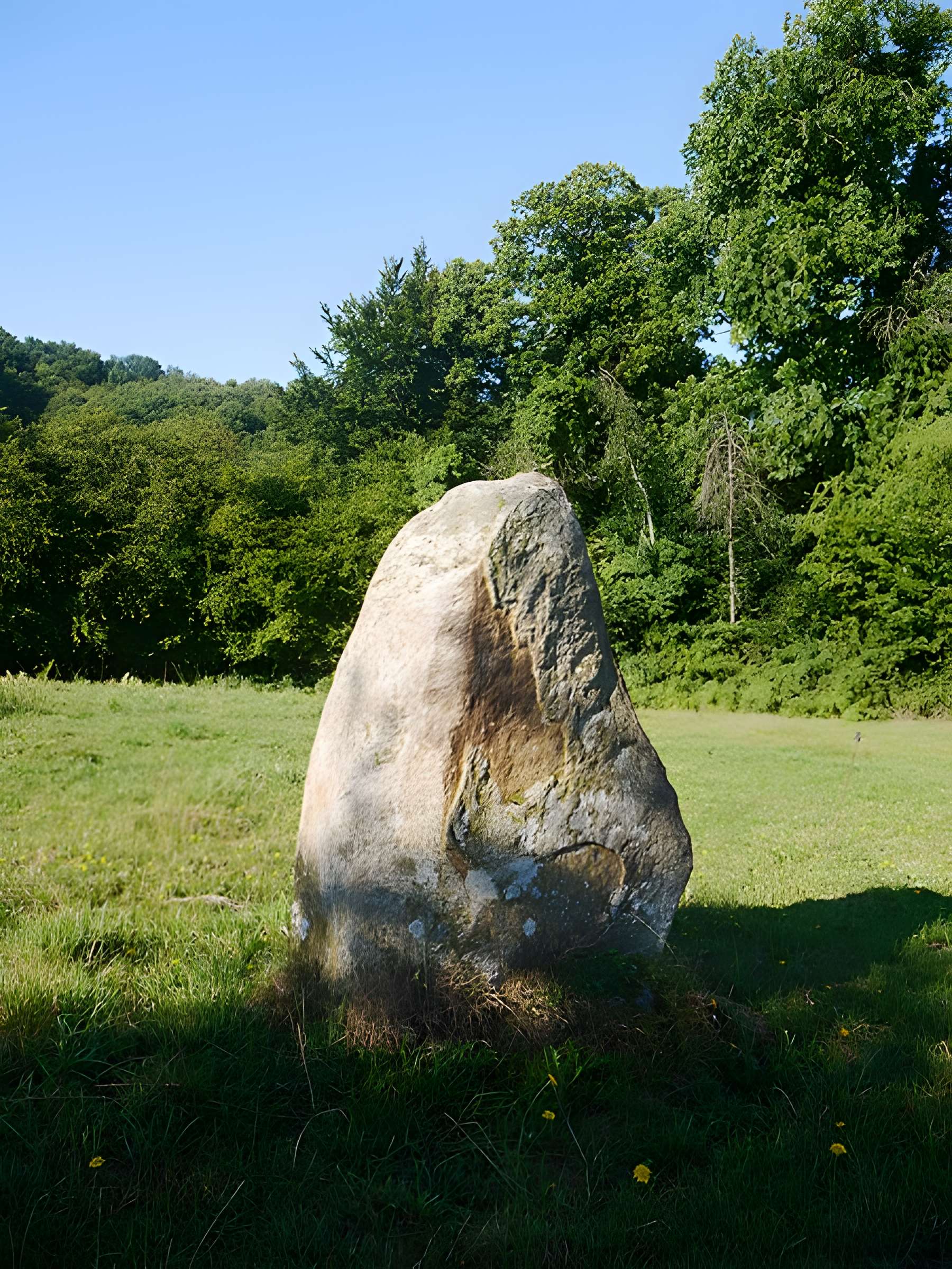 Menhir de la Petite Thébauderie à Saint-Thomas-de-Courceriers
