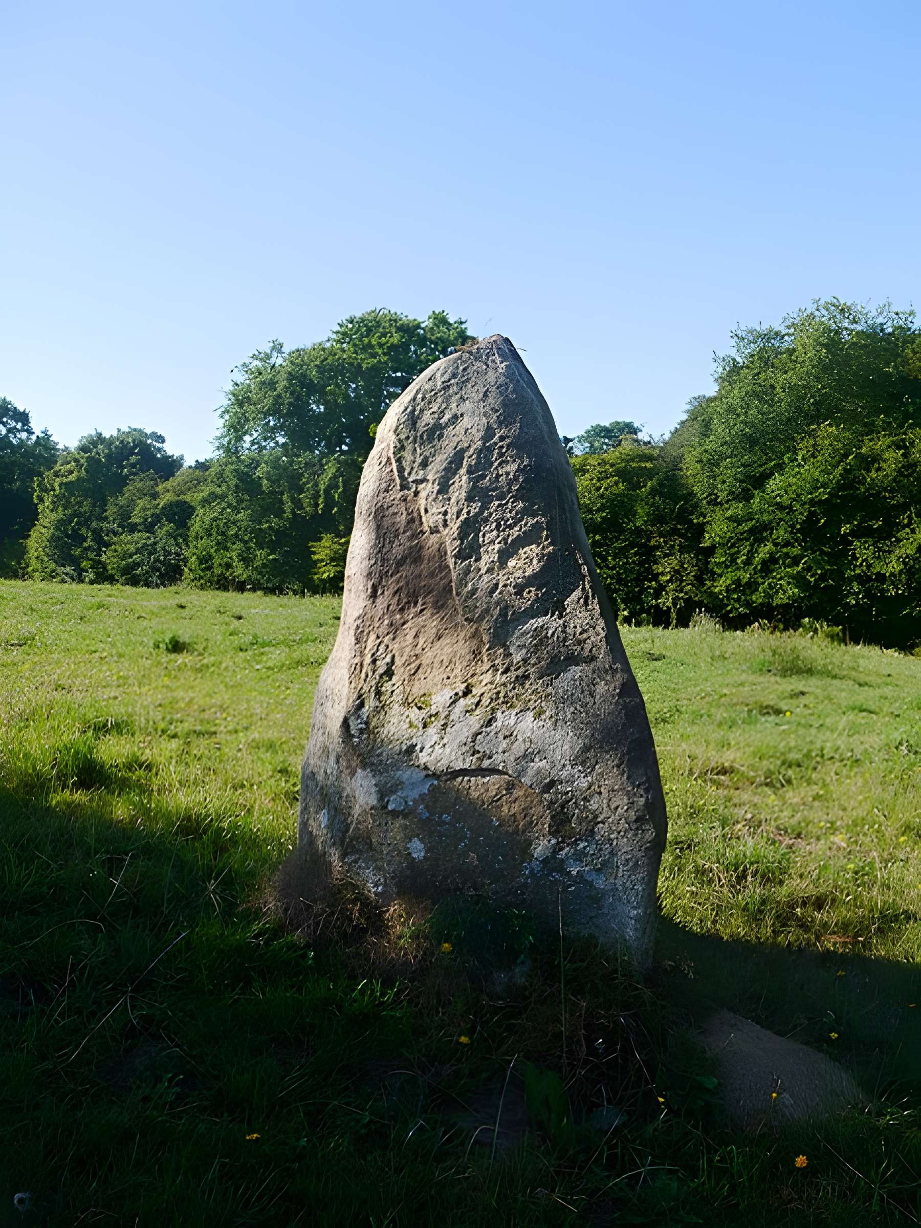 Menhir de la Petite Thébauderie à Saint-Thomas-de-Courceriers