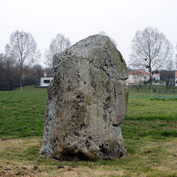 Photo de Menhir de la Petite-Roche de Saint-André-Treize-Voies