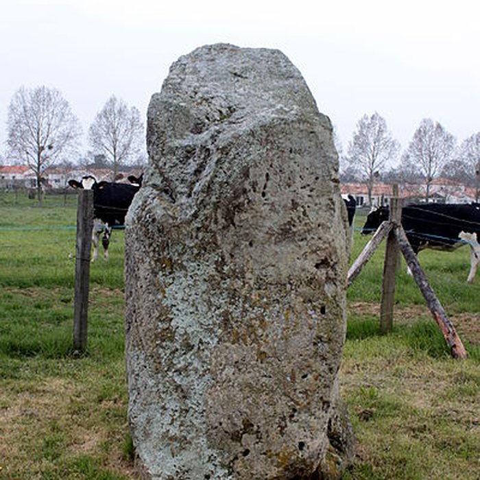 Photo de Menhir de la Petite-Roche de Saint-André-Treize-Voies