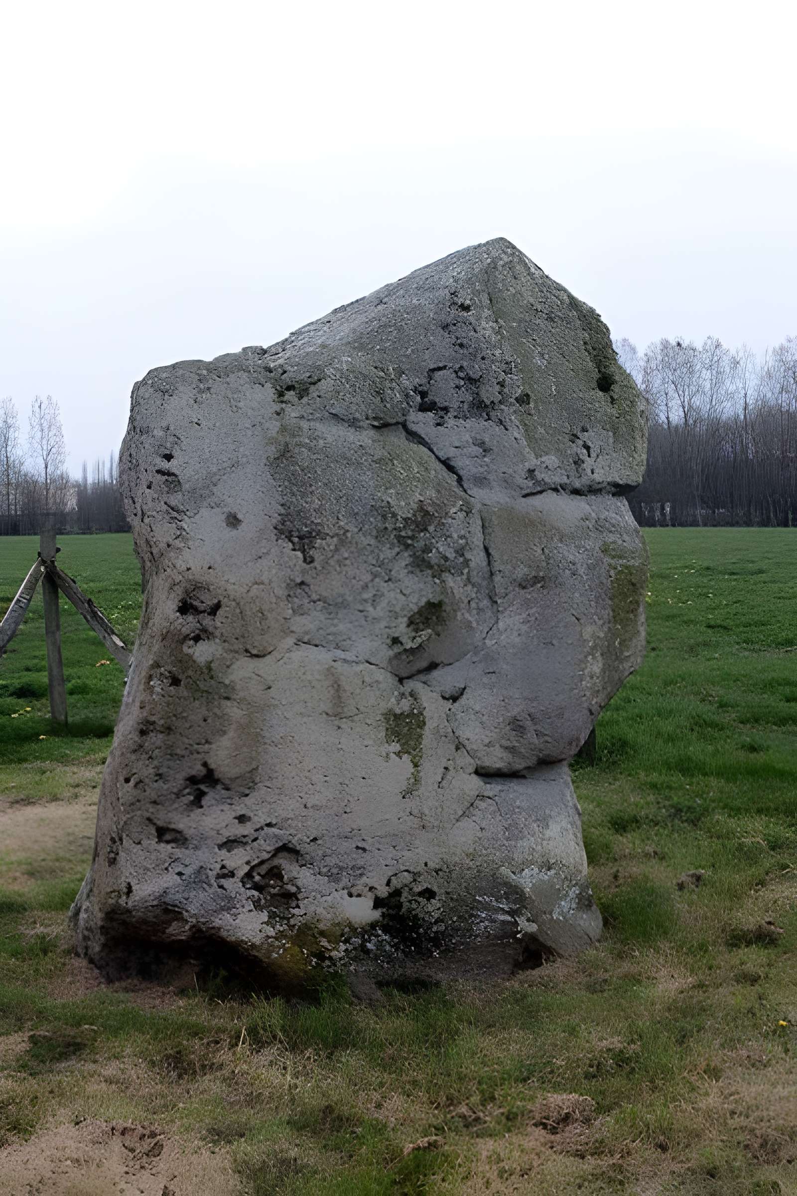 Menhir de la Petite-Roche de Saint-André-Treize-Voies 