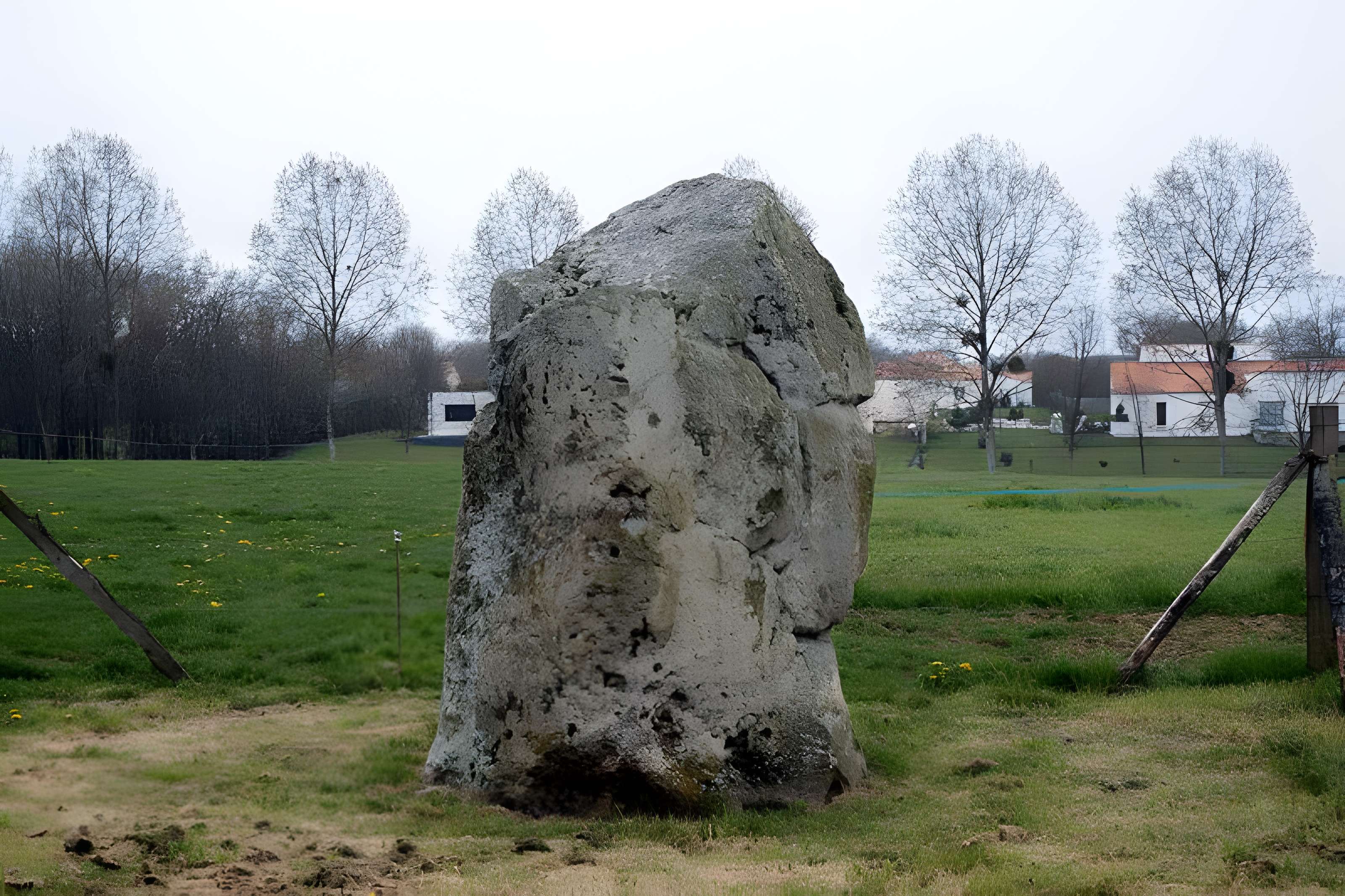 Menhir de la Petite-Roche de Saint-André-Treize-Voies