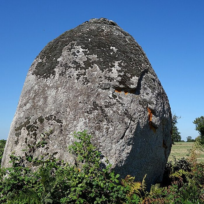 Photo de Menhir de la Pièce-du-Rocher de Avrillé