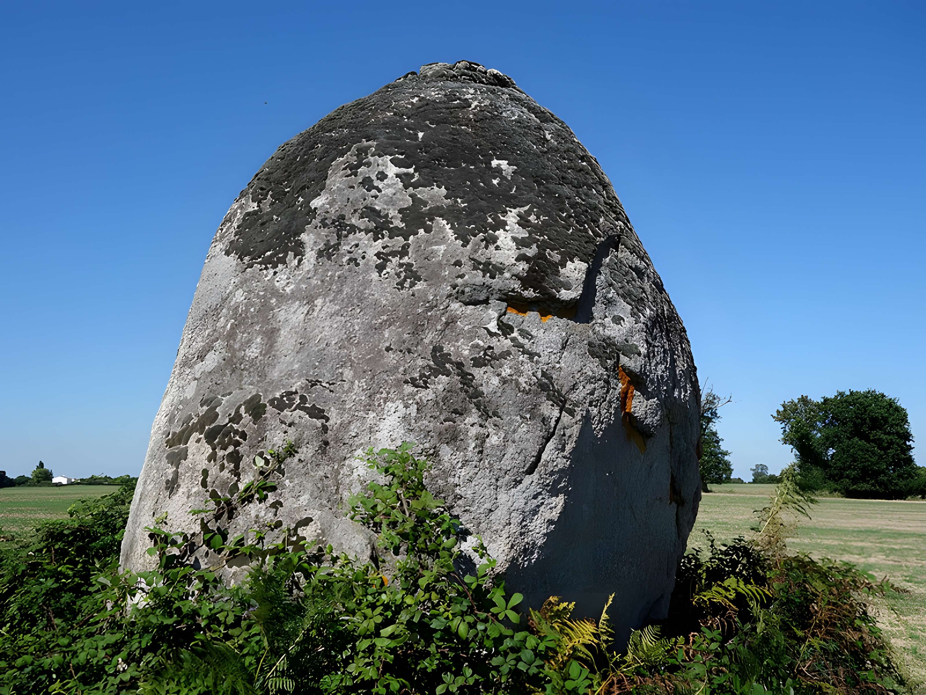 Menhir de la Pièce-du-Rocher de Avrillé