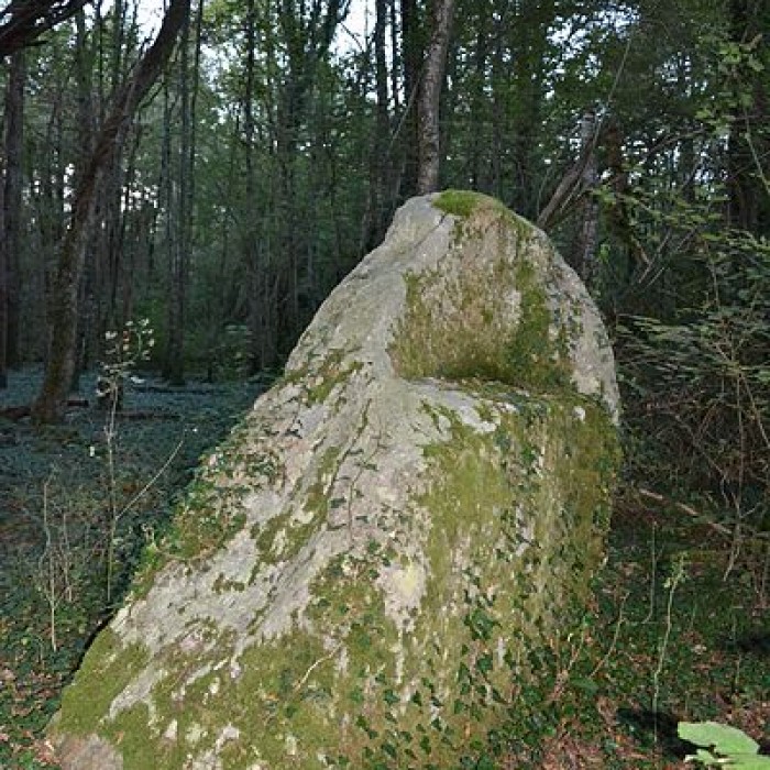 Photo de Menhir de la Pierre à lAbbé de Saint-Loup-de-Buffigny