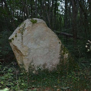 Menhir de la Pierre à lAbbé de Saint-Loup-de-Buffigny
