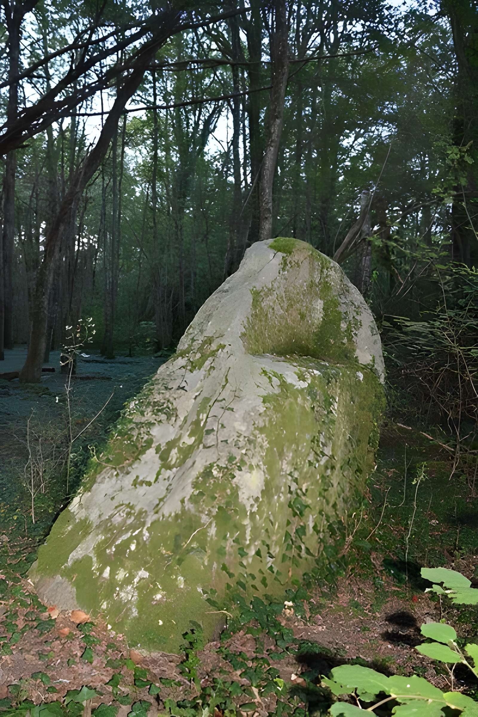 Menhir de la Pierre à l'Abbé de Saint-Loup-de-Buffigny 