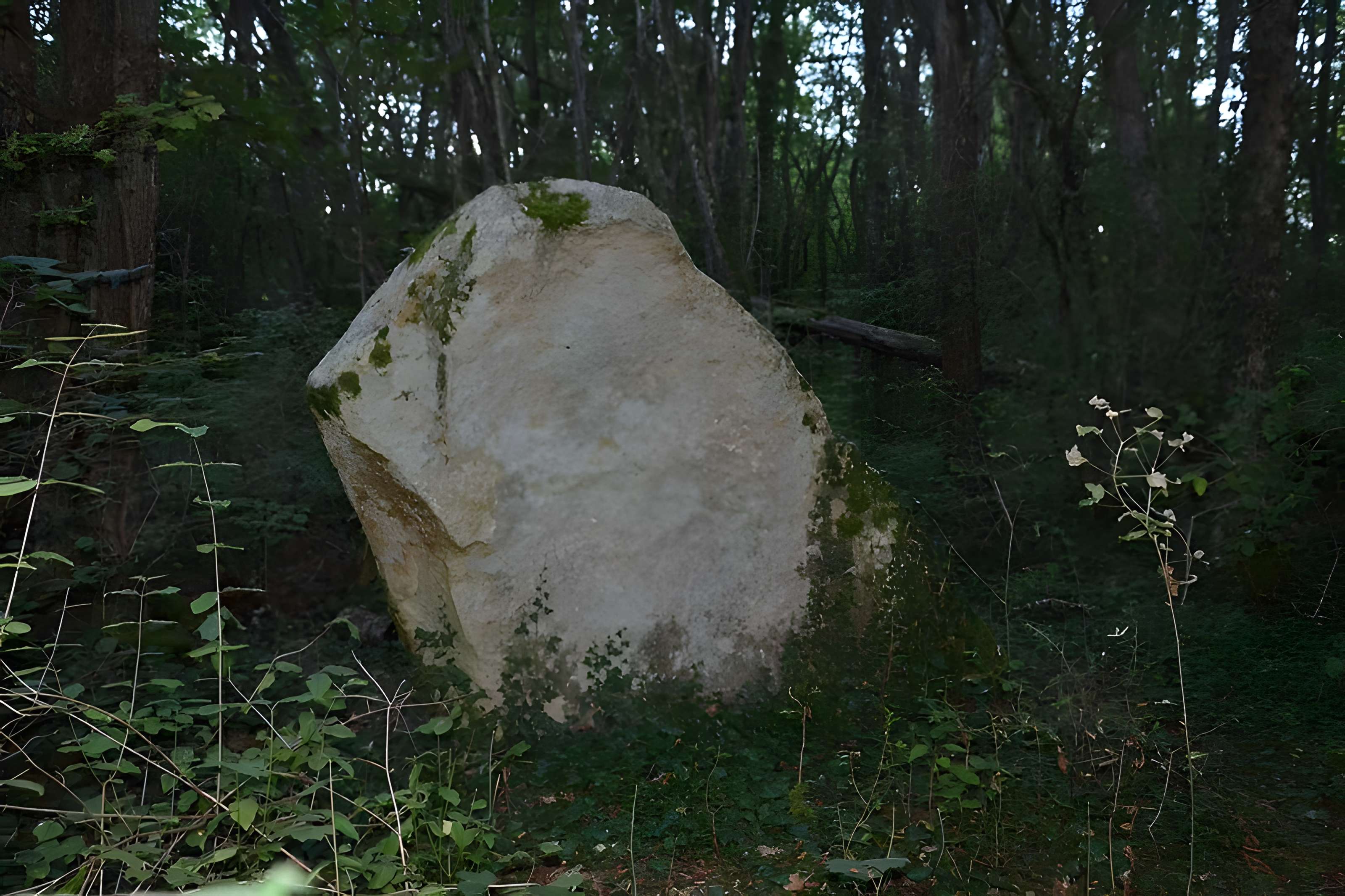 Menhir de la Pierre à l'Abbé de Saint-Loup-de-Buffigny