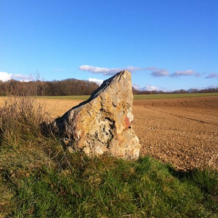 Photo de Menhir de la Pierre Aiguë de La Saulsotte
