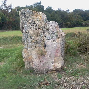 Menhir de la Pierre Aiguë de La Saulsotte