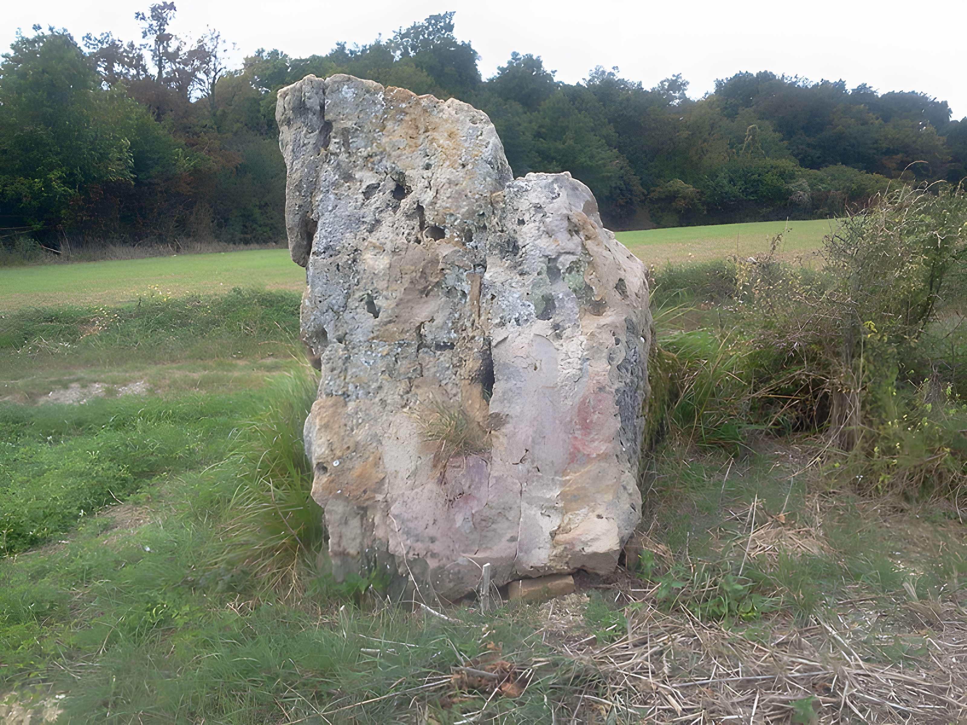 Menhir de la Pierre Aiguë de La Saulsotte