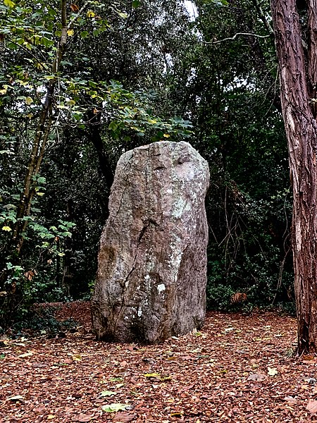 Menhir de la Pierre Attelée de Saint-Brevin-les-Pins
