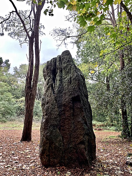Menhir de la Pierre Attelée de Saint-Brevin-les-Pins