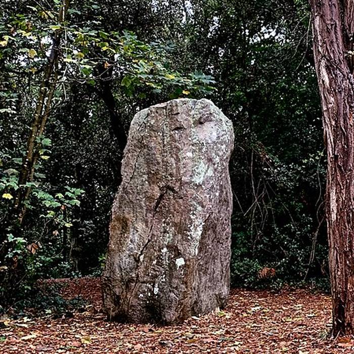Photo de Menhir de la Pierre Attelée de Saint-Brevin-les-Pins