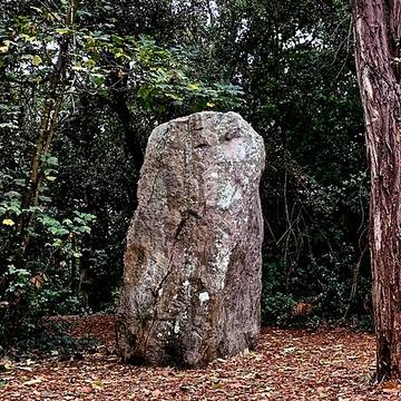 Menhir de la Pierre Attelée de Saint-Brevin-les-Pins